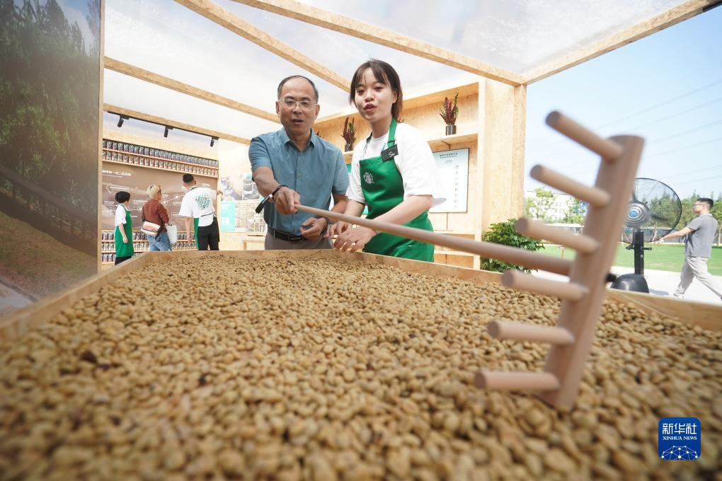 大连穷胡麻将电脑下载